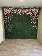 Grass Wall 5
