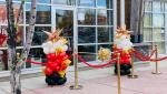 Gold Stanchion Stands 5