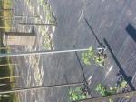VEVOR Weed Barrier 5