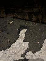 Una cannonata…anche se… 5