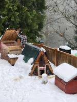 Homesteader 5