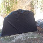 Onesto 5