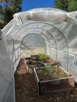 Great experience with Tunnel Greenhouse! 4
