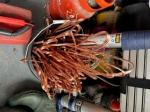 Wire Stripper 5