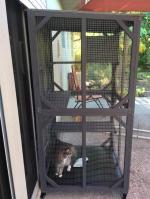 Catio 4