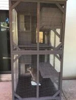 Catio 4