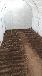 tunnel 5