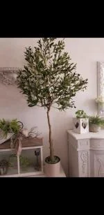 Ulivo artificiale 5