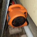 Contractor 5