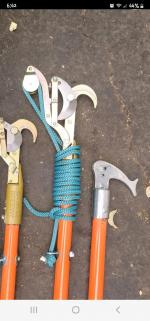 Certified Arborist 4