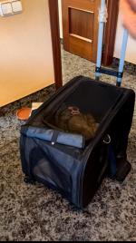 Transportín para mascotas con ruedas 4