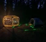 Sweet Lights! 5