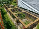 Brilliant netting 5