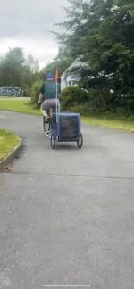 Bike trailer 4
