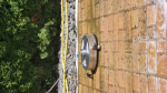 Pressure washer 4