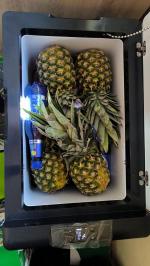 Car refrigerator 5