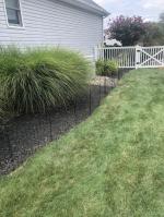 Garden Fence 5