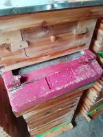 hives 5