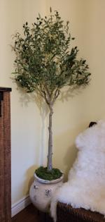 2nd purchase  gorgeous tree 5