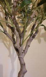 2nd purchase  gorgeous tree 5