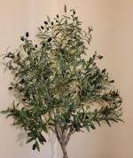 2nd purchase  gorgeous tree 5