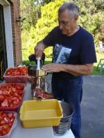 Tomato 5