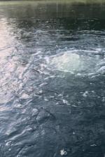 Pond aerator! 5