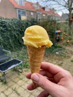 Netherlands 5