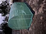 Nice looking greenhouse  5