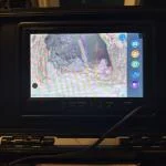 165ft self level inspection camera  5