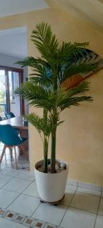 Bel aspect réel de cette plante artificielle 5