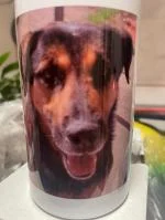Multumit de presa 5
