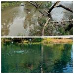 Perfect for my 1 acre pond 5