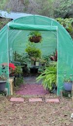 Greenhouse  4