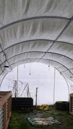 Walk-in Greenhouse 5