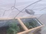 Walk-in Greenhouse 5