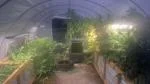 Walk-in Greenhouse 5