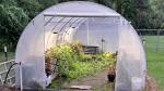 Walk-in Greenhouse 5