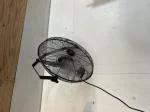 Shop Fan 5