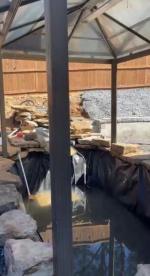 Landscape Owner 5