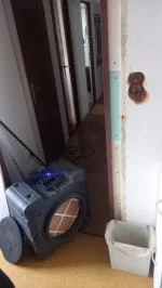 mistr 4