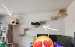 Amazing and beautiful 5