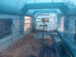 Ventilation needs upgrade  4