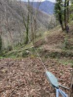 Buon verricello a un prezzo competitivo 5