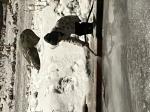 Ice rink 5