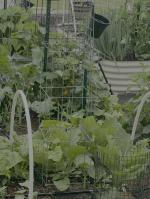 Gardener  5