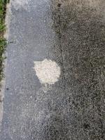 . 4