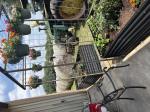 Garden Beds 5