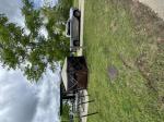 Gazebo  5