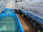 Greenhouse  4